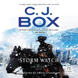 Storm Watch Audiobook